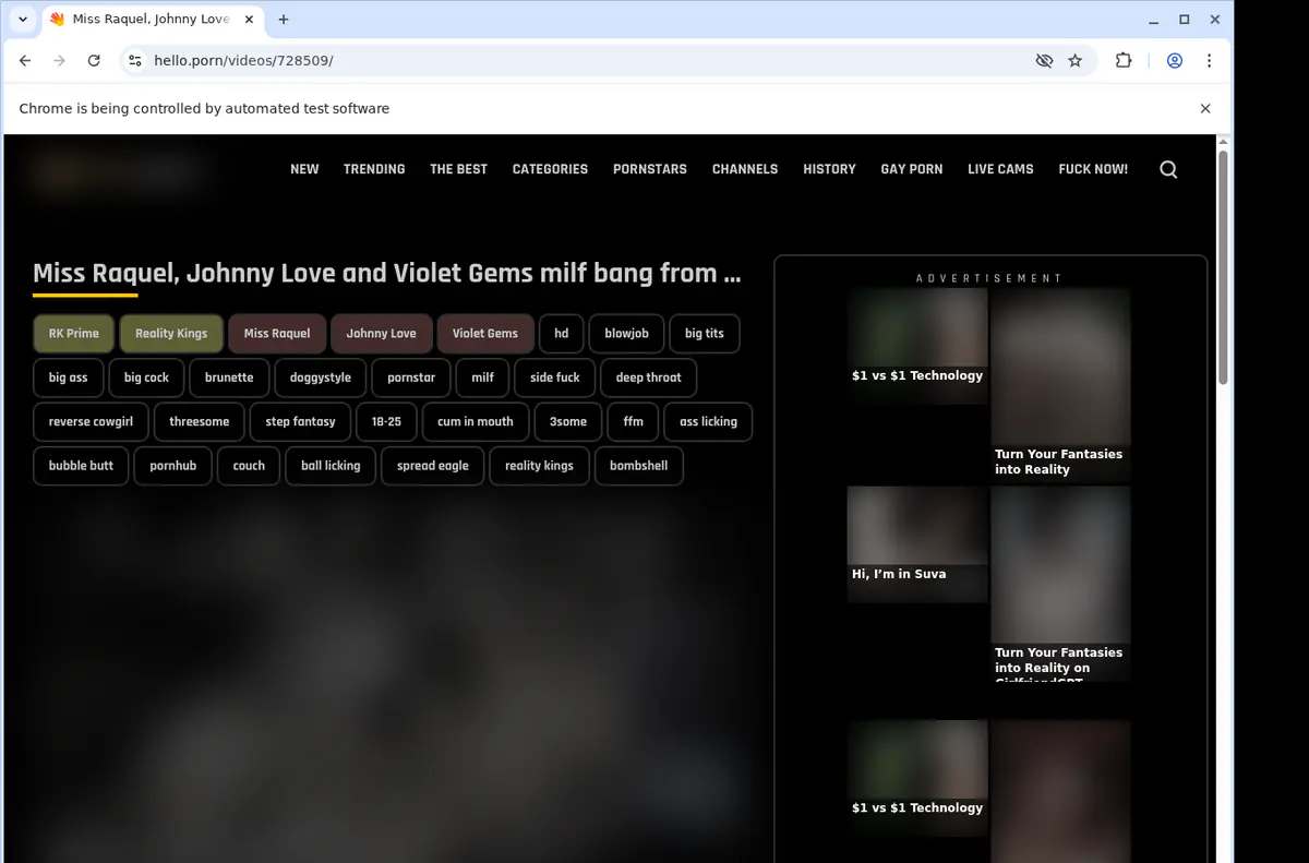 Helloporn Video Downloader screenshot 2