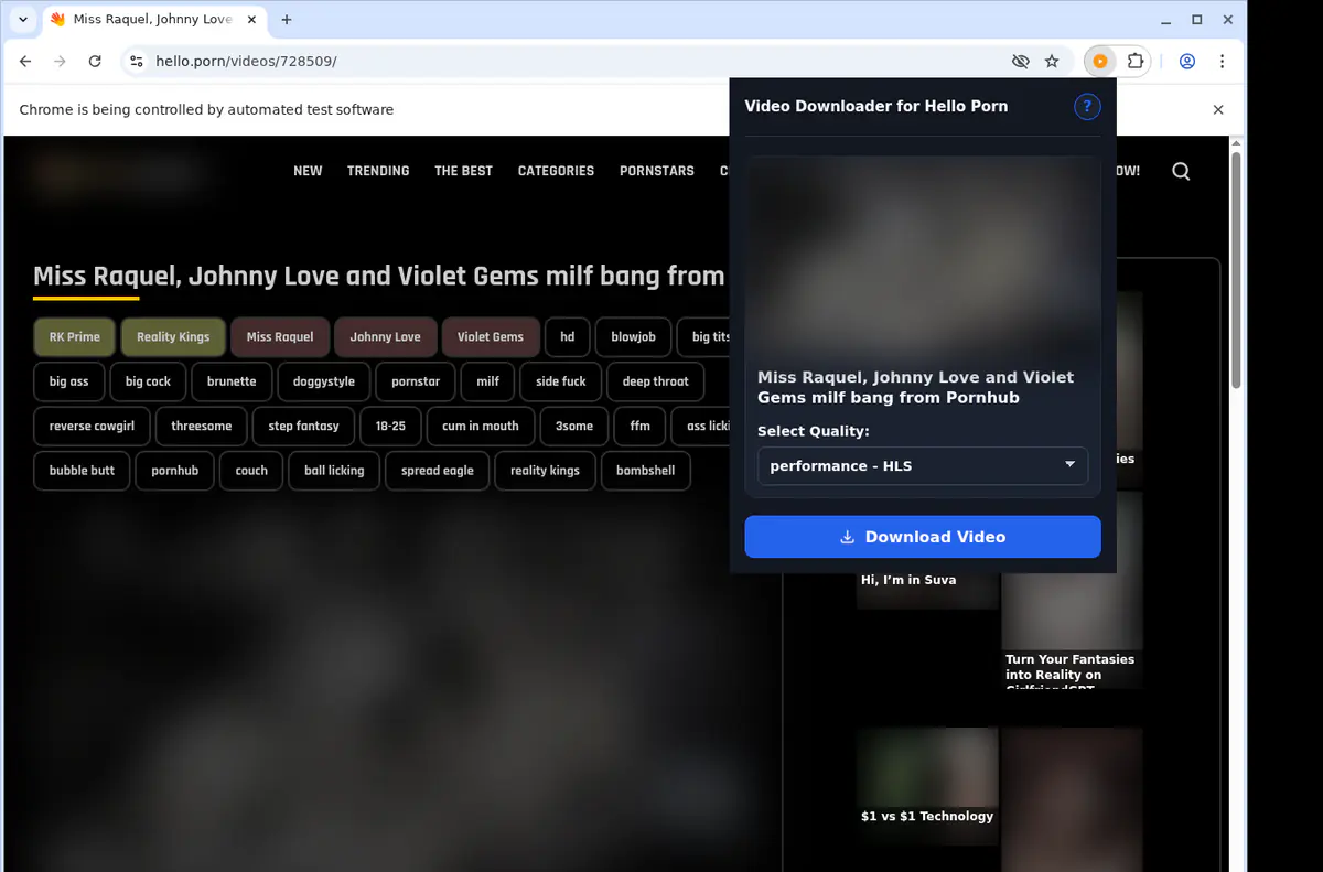 Helloporn Video Downloader screenshot 3